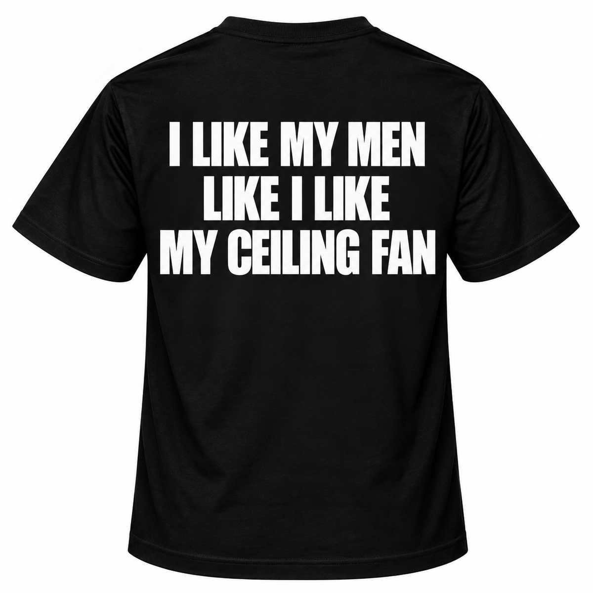 I Like My Men Like I Like My Ceiling Fan
